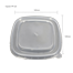 square-pp-lid-168-168.png