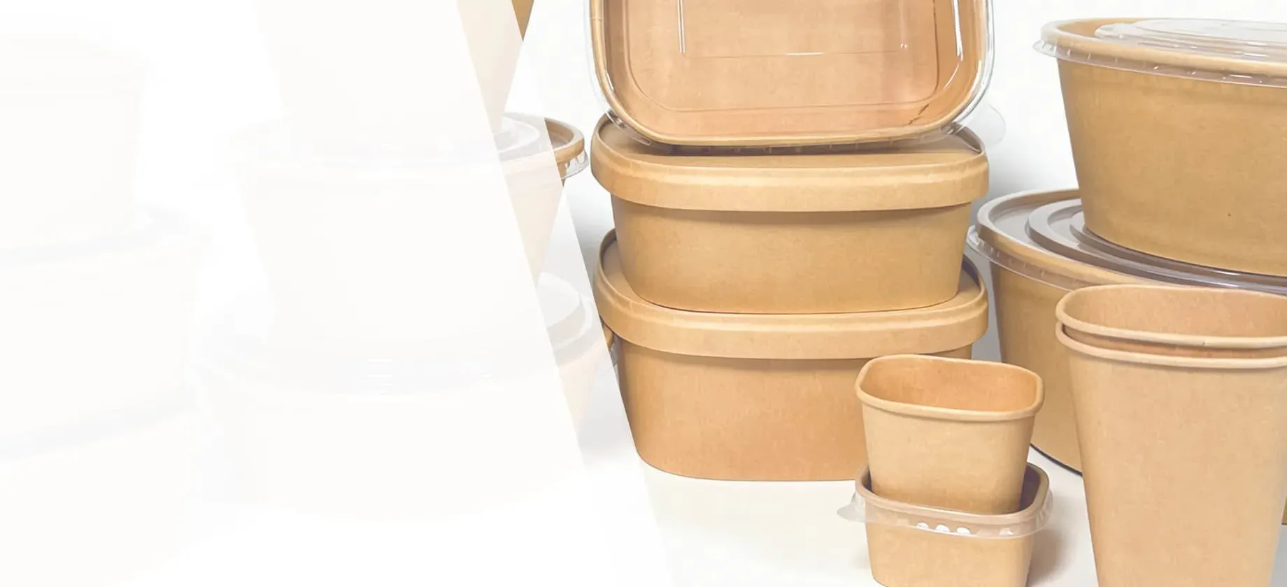Discover Our Innovative Paper Packaging Range