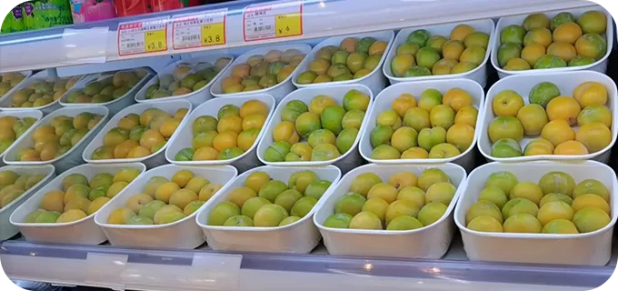 disposable paper food containers
